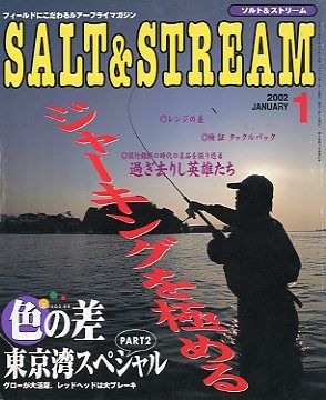 SALT&amp;STREAM( соль & Stream ) 2002 год 1 месяц номер < бесплатная доставка >