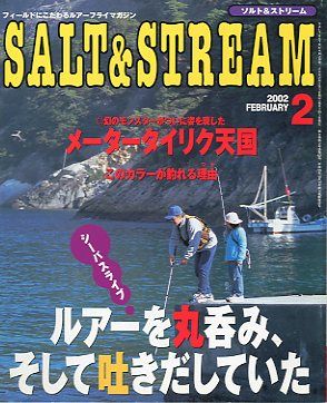 SALT&amp;STREAM( соль & Stream ) 2002 год 2 месяц номер < бесплатная доставка >