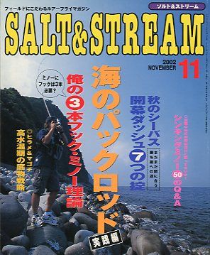 SALT&amp;STREAM( соль & Stream ) 2002 год 11 месяц номер < бесплатная доставка >