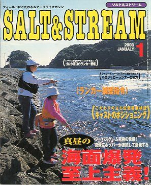 SALT&amp;STREAM( соль & Stream ) 2003 год 1 месяц номер < бесплатная доставка >