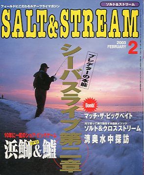 SALT&amp;STREAM( соль & Stream ) 2003 год 2 месяц номер < бесплатная доставка >