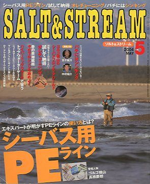 SALT&amp;STREAM( соль & Stream ) 2004 год 5 месяц номер < бесплатная доставка >