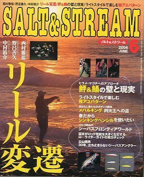 SALT&amp;STREAM( соль & Stream ) 2004 год 6 месяц номер < бесплатная доставка >