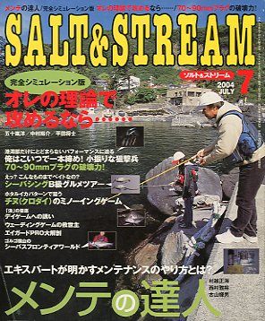 SALT&amp;STREAM( соль & Stream ) 2004 год 7 месяц номер < бесплатная доставка >