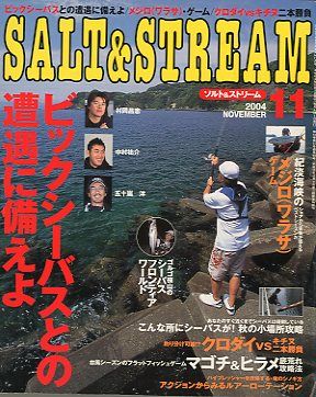 SALT&amp;STREAM( соль & Stream ) 2004 год 11 месяц номер < бесплатная доставка >
