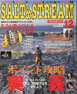 SALT&amp;STREAM( соль & Stream ) 2004 год 12 месяц номер < бесплатная доставка >