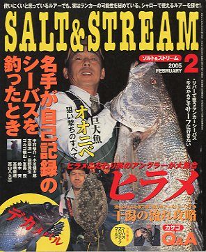 SALT&amp;STREAM( соль & Stream ) 2005 год 2 месяц номер < бесплатная доставка >