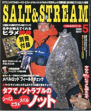 SALT&amp;STREAM( соль & Stream ) 2005 год 5 месяц номер < бесплатная доставка >