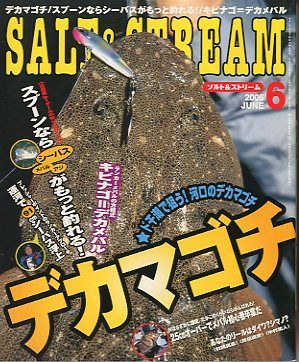 SALT&amp;STREAM( соль & Stream ) 2005 год 6 месяц номер < бесплатная доставка >