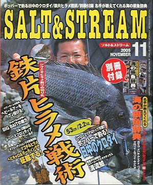 SALT&amp;STREAM( соль & Stream ) 2005 год 11 месяц номер < бесплатная доставка >