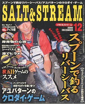 SALT&amp;STREAM( соль & Stream ) 2005 год 12 месяц номер < бесплатная доставка >