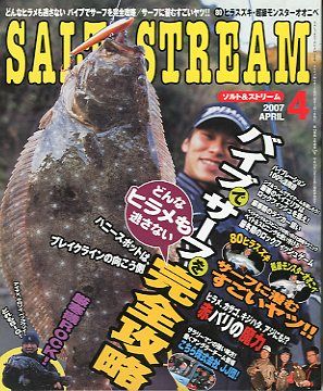 SALT&amp;STREAM( соль & Stream ) 2007 год 4 месяц номер < бесплатная доставка >
