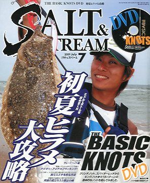 SALT&amp;STREAM( соль & Stream ) 2009 год 7 месяц номер < бесплатная доставка >