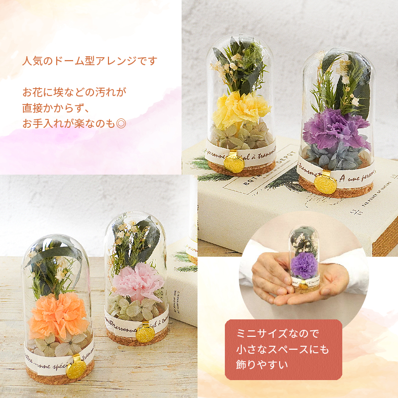  Mother's Day flower preserved flower gift present Respect-for-the-Aged Day Holiday present .. birthday memory day marriage birth new building . job . see Mai . glass cork Innes Mini 