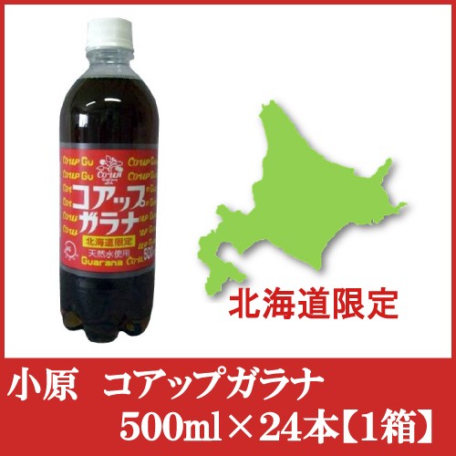 小原 コアップガラナ 小原 コアップガラナ 500ml × 24本 ペットボトル 炭酸飲料の商品画像