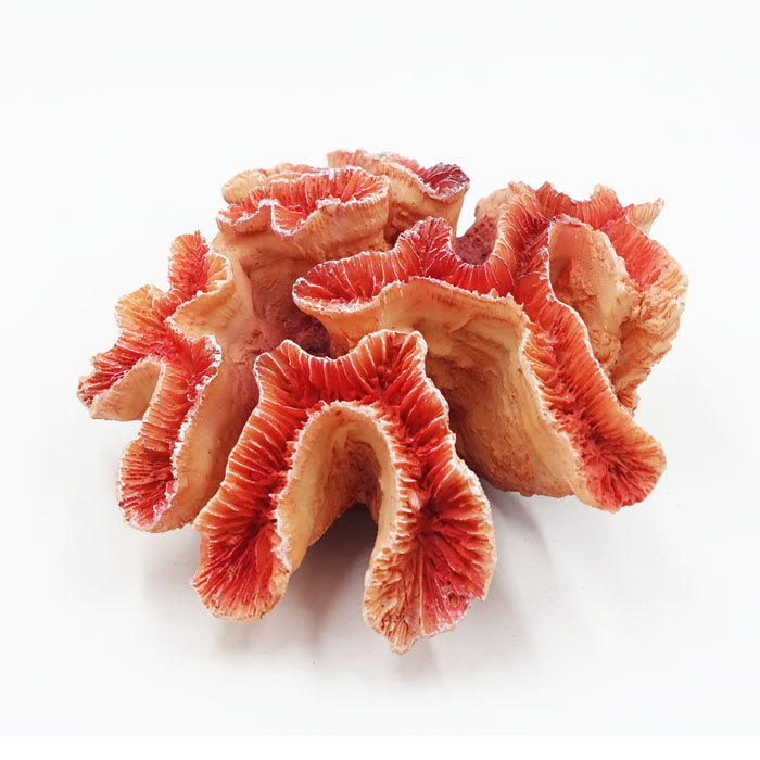  aquarium XL-S1782 coral flat orange underwater objet d'art tree coral 1 stock AQARIUM box garden 