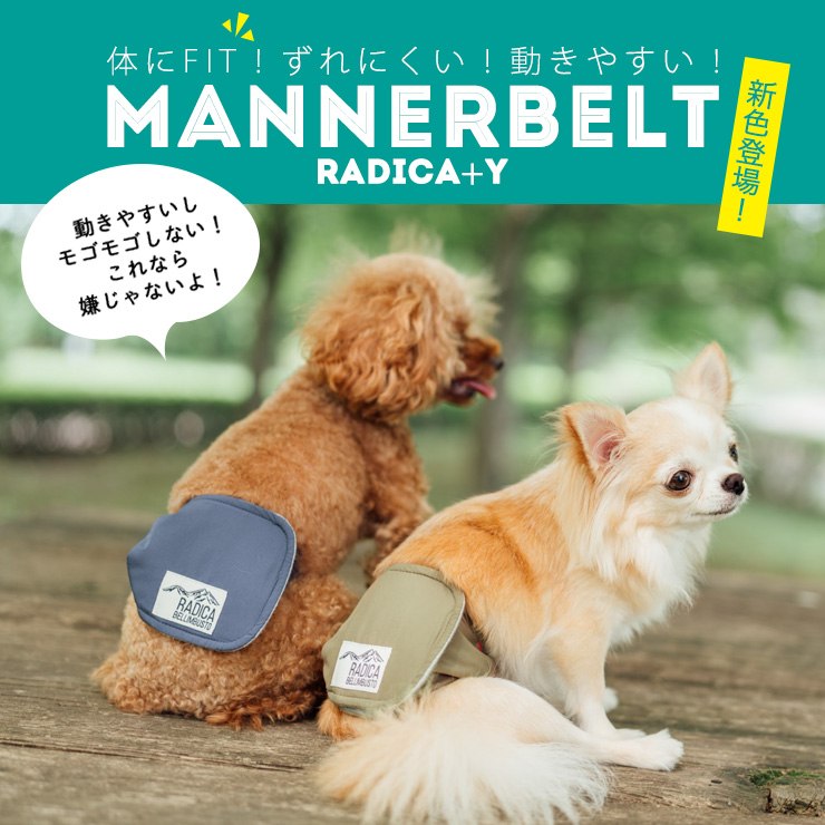  dog dog supplies manner latikaRADICA+Y manner belt manner goods papi-sinia walk supplies walk goods mail service possible 