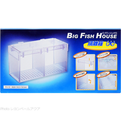 a Zoo Japan production egg box segregation box large big fish house 