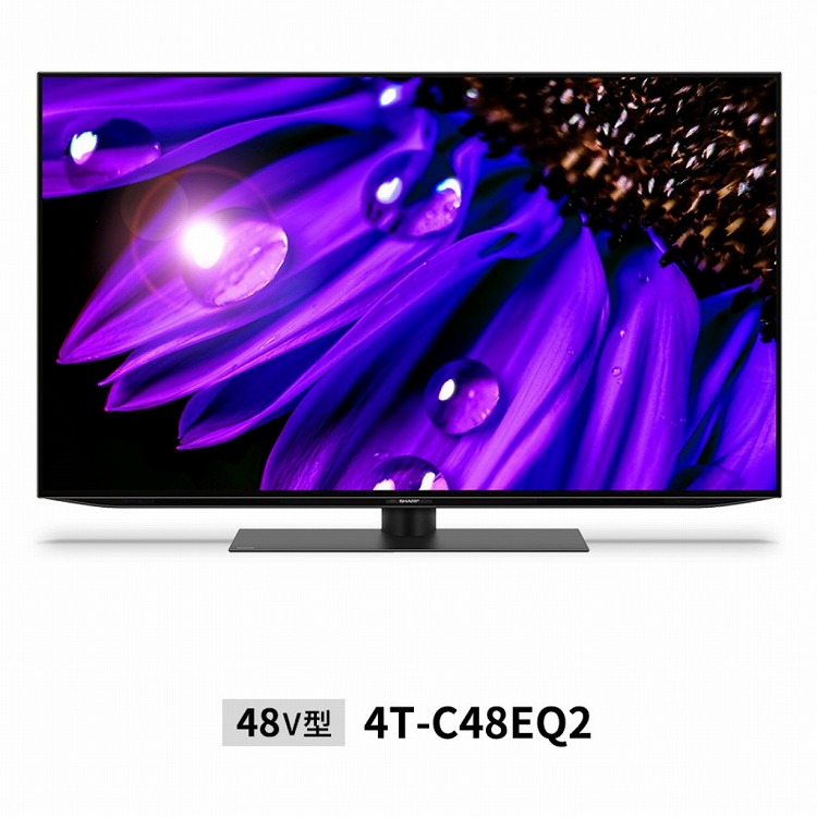SHARP AQUOS 4T-C65EQ1 AQUOS 液晶テレビ、薄型テレビ - 最安値・価格