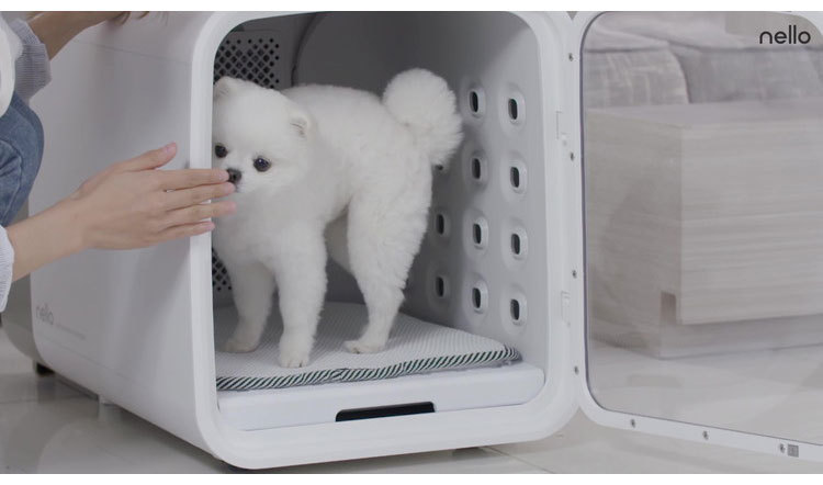 Haru pet dry room nello pink PD-B10-P pet room cage dryer dry room automatic dry dryer for pets dryer dog .. cat payment on delivery un- possible 