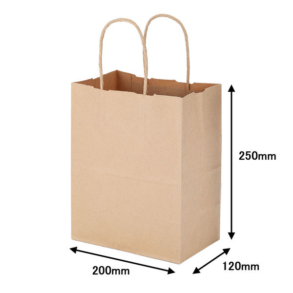 ASKUL 丸紐 クラフト紙手提袋ベーシック （茶無地） 200×250×120 50枚×6袋（300枚） 紙袋の商品画像