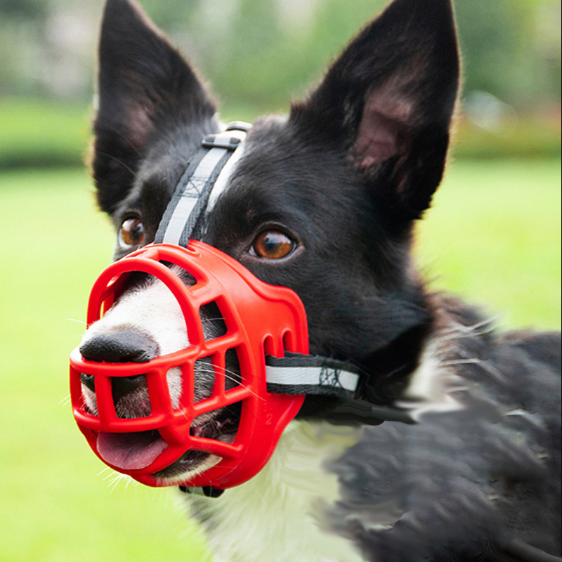  собака. маска кусание есть предотвращение для домашних животных маска собака сопутствующие товары намордник для домашних животных собака .. предотвращение тренировка собака для модный бесполезность ... прогулка выход бесплатная доставка 