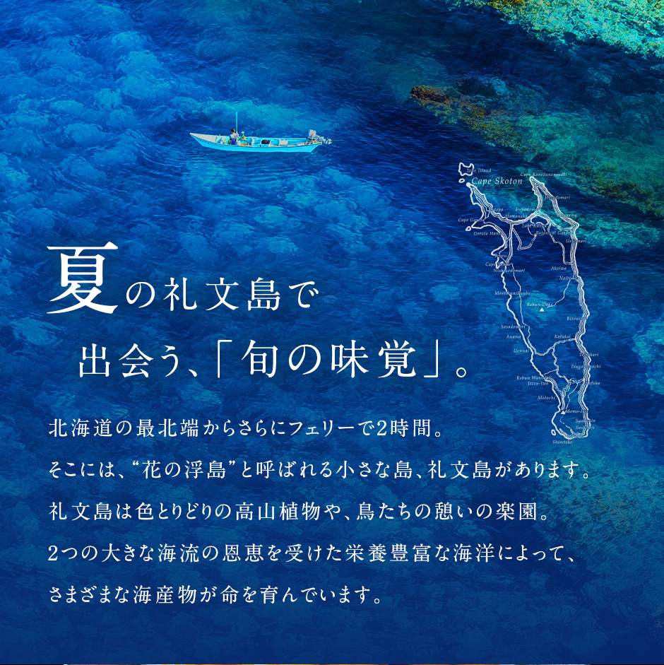 u. морской еж ... морской еж Hokkaido . документ выгода . остров .. Kitamura saki морской еж 150g дерево коробка ваш заказ подарок морепродукты подарок .. внутри праздник .