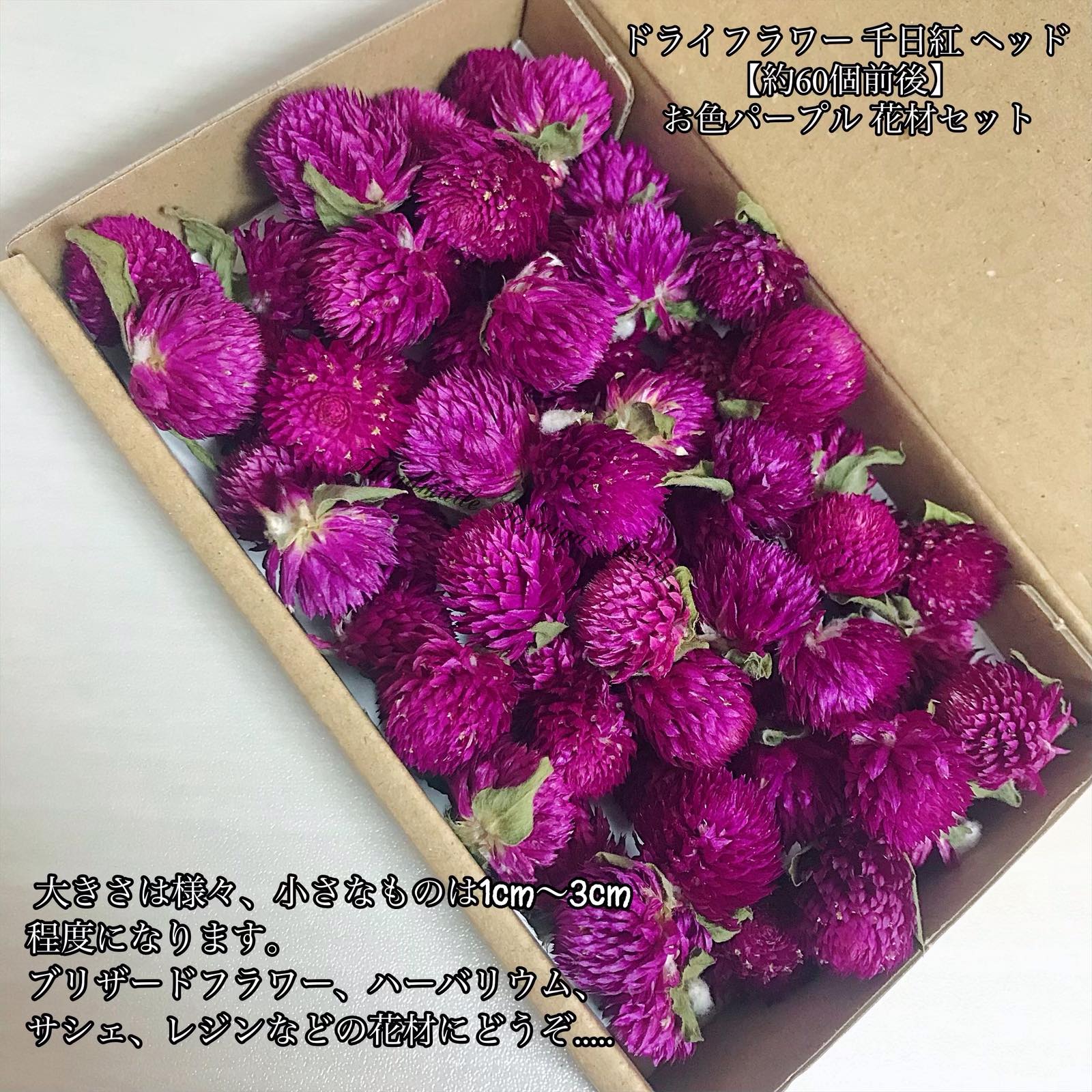  dry flower thousand day . head [ approximately 60 piece rom and rear (before and after) ] herbarium gel candle resin lease, aroma candle pot-pourri etc.. material for flower arrangement, handmade material * raw materials 