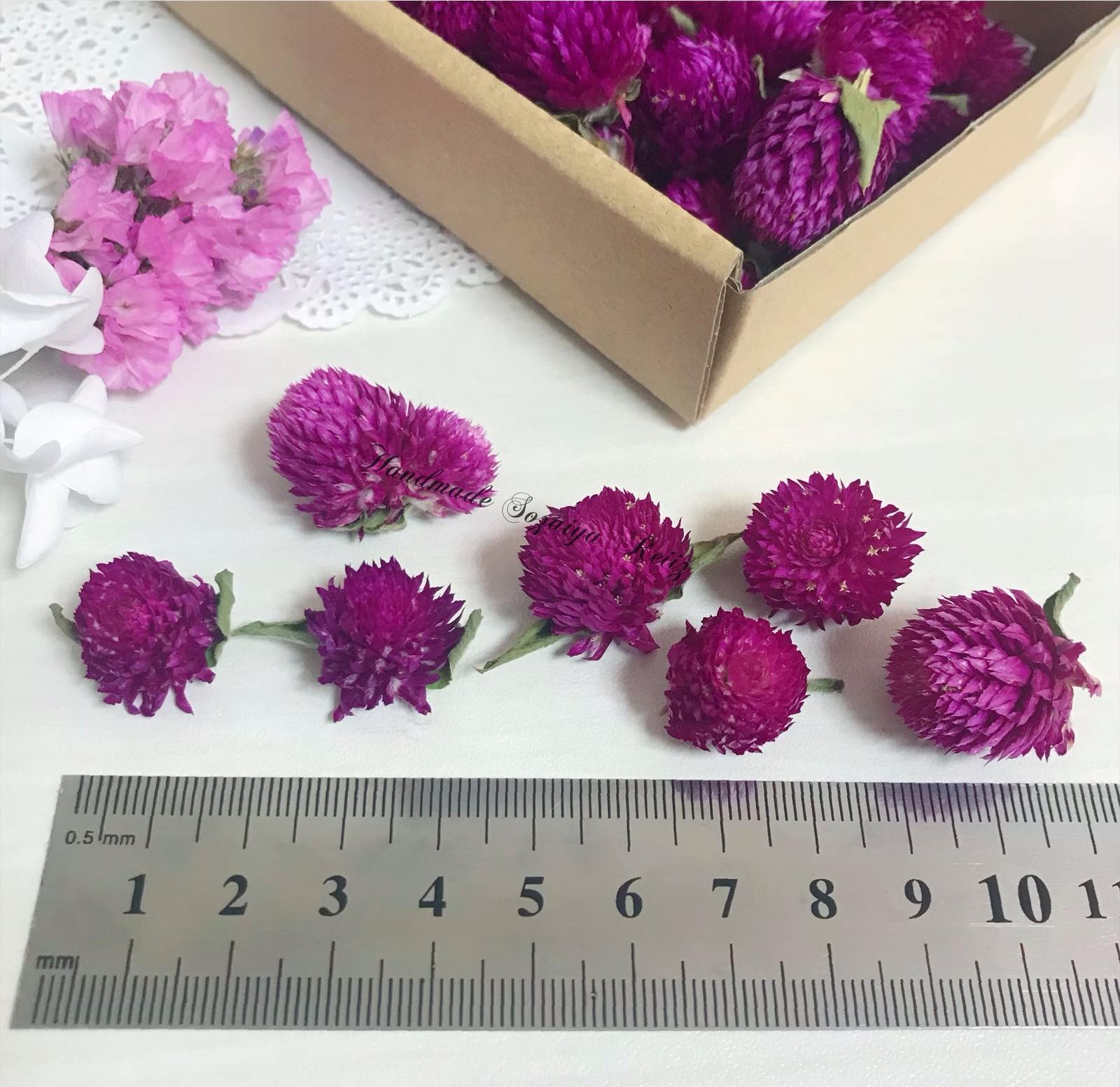  dry flower thousand day . head [ approximately 60 piece rom and rear (before and after) ] herbarium gel candle resin lease, aroma candle pot-pourri etc.. material for flower arrangement, handmade material * raw materials 