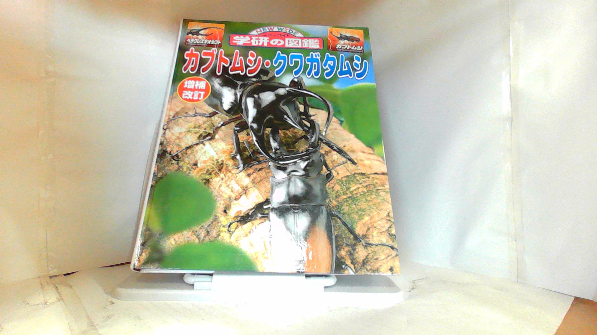 Gakken. illustrated reference book rhinoceros beetle * stag beetle 2013 year 5 month 17 day issue 