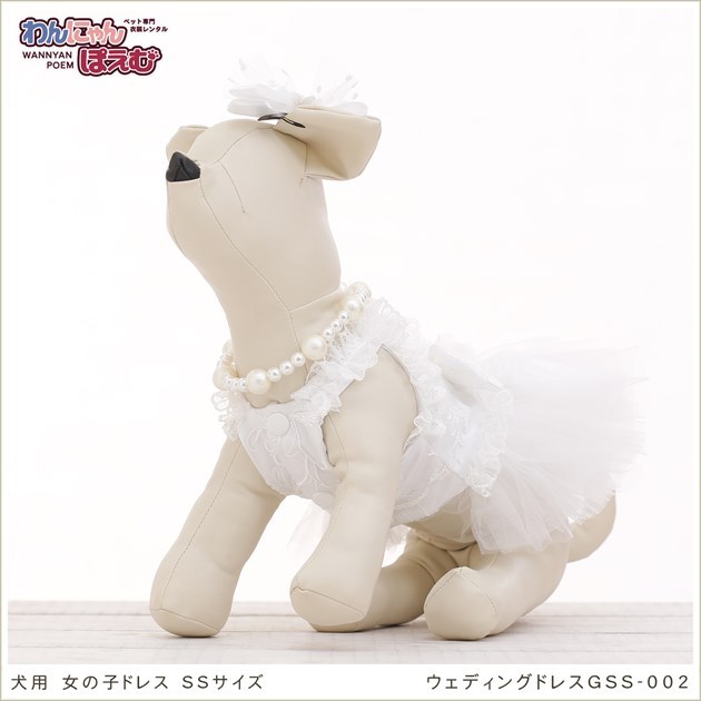  dog. dress rental small size dog girl gss-002 pet costume wedding . equipment both ways free shipping high class cloth lovely stylish wedding The Seven-Five-Three Festival photographing . Event [ white ]