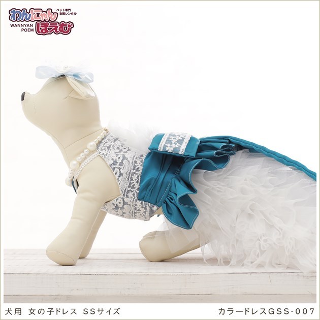  dog. dress rental small size dog girl gss-007 pet costume color dress both ways free shipping high class cloth lovely stylish wedding The Seven-Five-Three Festival photographing . Event [ white ×.]