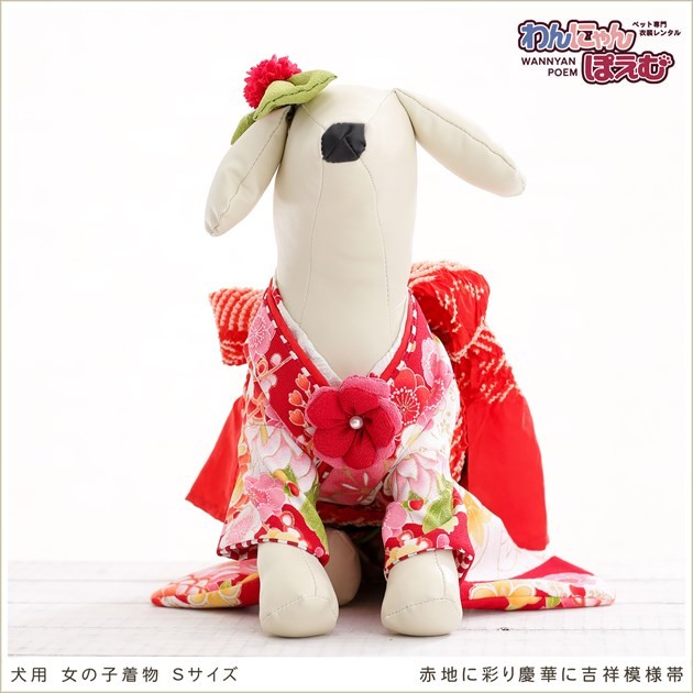  собака. кимоно в аренду маленький размер собака девочка ksr-003 домашнее животное костюм кимоно с длинными рукавами dog в оба конца бесплатная доставка высококлассный ткань симпатичный свадьба "Семь, пять, три" фотосъемка .[ красный земля ........ узор obi ]