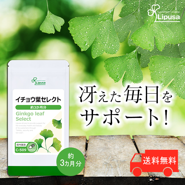  ginkgo biloba leaf select approximately 3. month minute C-509 supplement health 