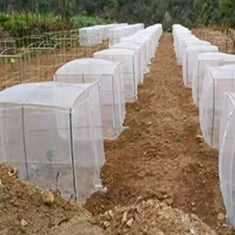 3 pieces set! plant protective cover insecticide net protection from birds net gardening for net .. planter flower . applying white transparent ventilation insect bird except . net 