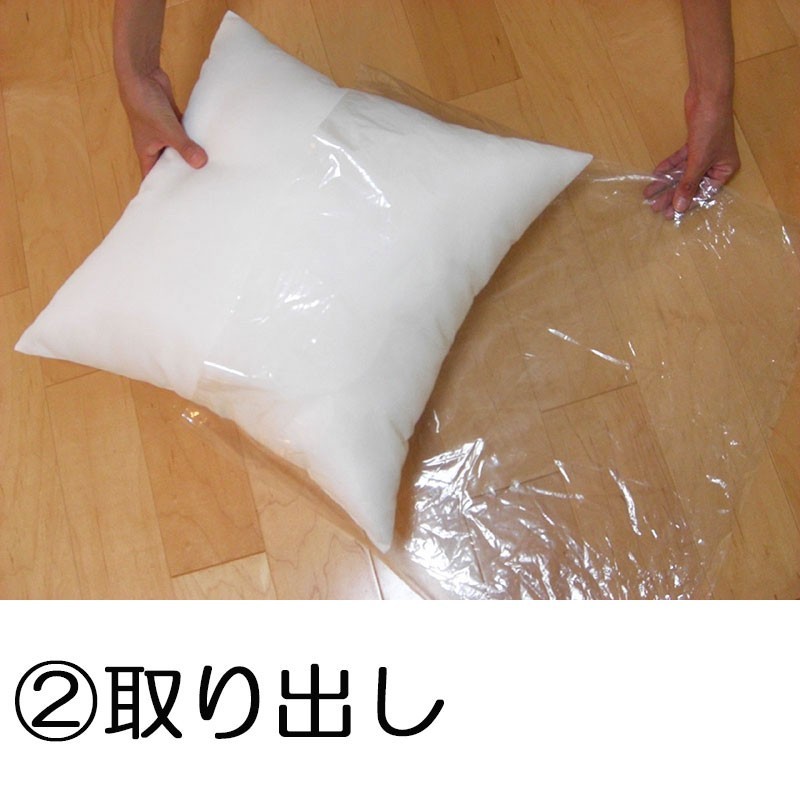  nude cushion cushion contents 45×45 2 piece set made in Japan 