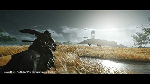 [PS4]Ghost of Tsushima ( призрак obtsusima)