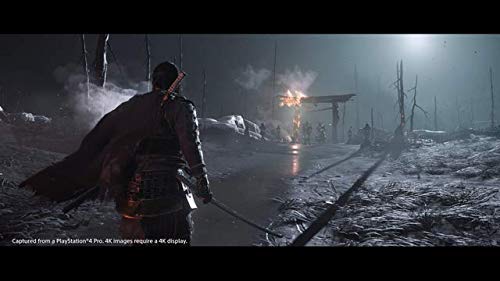 [PS4]Ghost of Tsushima ( призрак obtsusima)