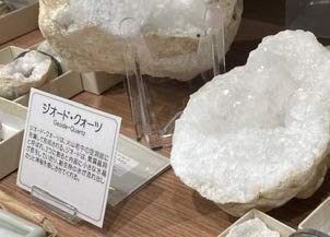 SCIENCE Mini минерал образец [ geo -do* кварц Geode Quartz производство земля :india] эскиз * box ( примерно 4cm угол ) ввод 