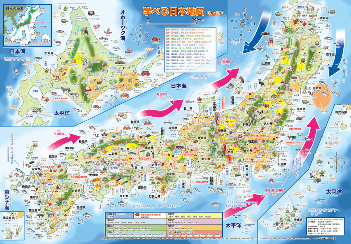 [... карта Японии, карта мира Junior 2 шт. комплект ][ конверт отправка ] начальная школа, неполная средняя школа. учеба соответствующий . ванна постер, учеба для карта,A2 размер 