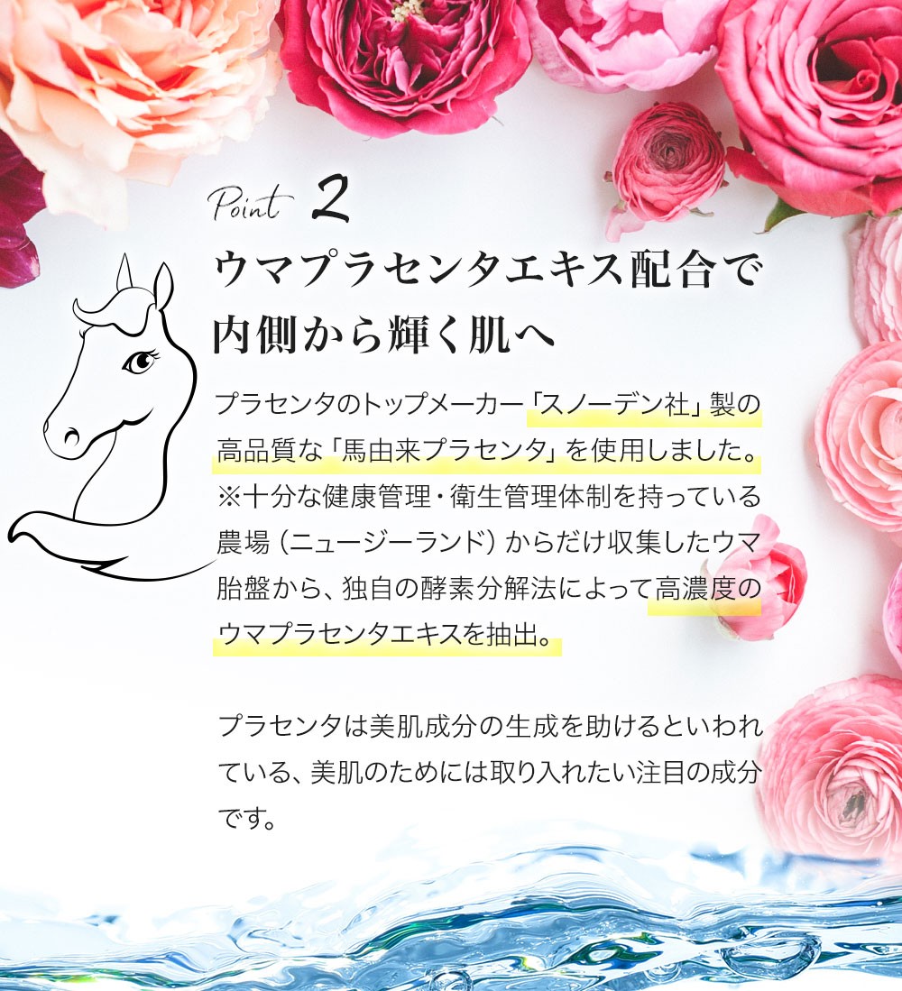 クリスタルソープ PLAMID プラミド クリスタルソープ （固形透明石鹸／90g）馬