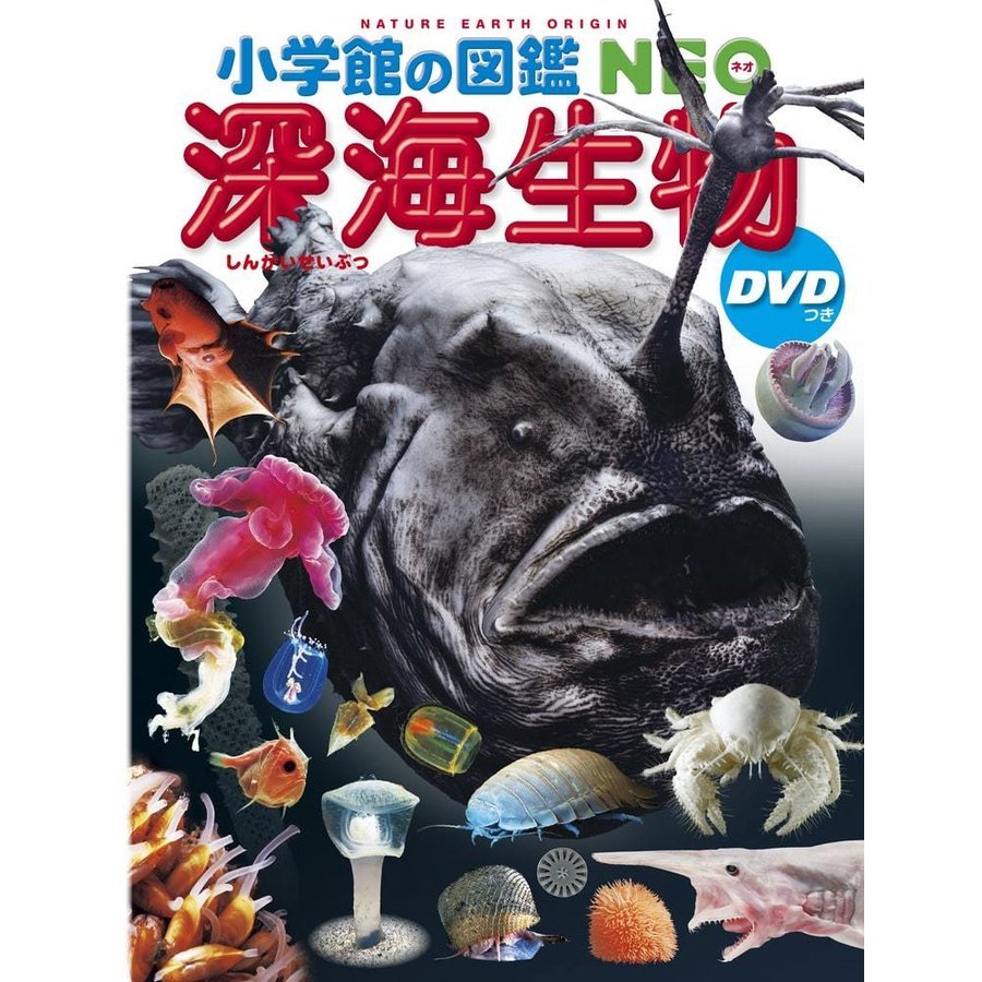 深海生物 （小学館の図鑑ＮＥＯ　２６） 藤原義弘／総合監修・執筆　遠藤広光／監修・執筆　伊勢優史／〔ほか〕指導・執筆　松沢陽士／ほか撮影の商品画像