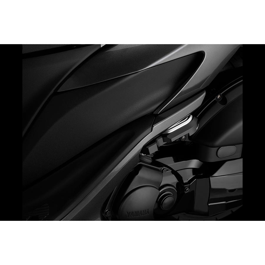  Biker z задний foot колок L/R 2 левый и правый в комплекте черный TRICITY