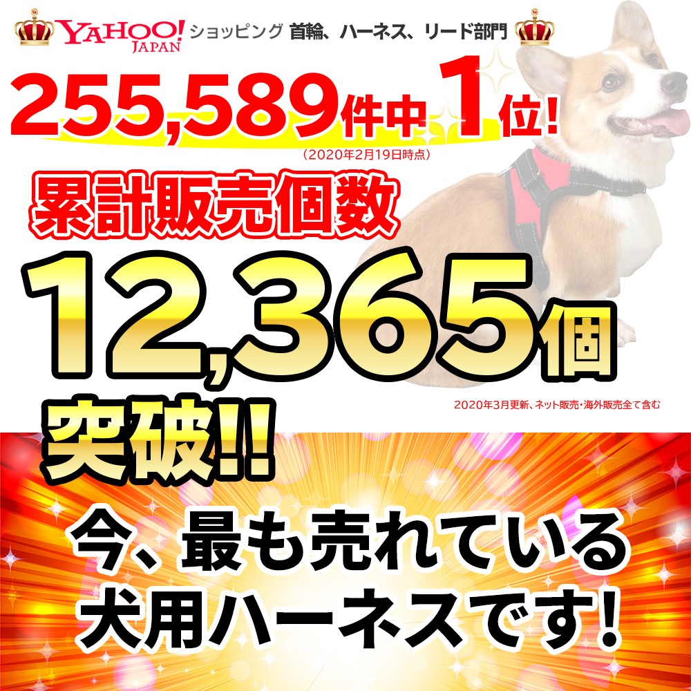 Xsサイズ追加 愛犬と楽しく安全なお散歩を ギガランキングｊｐ