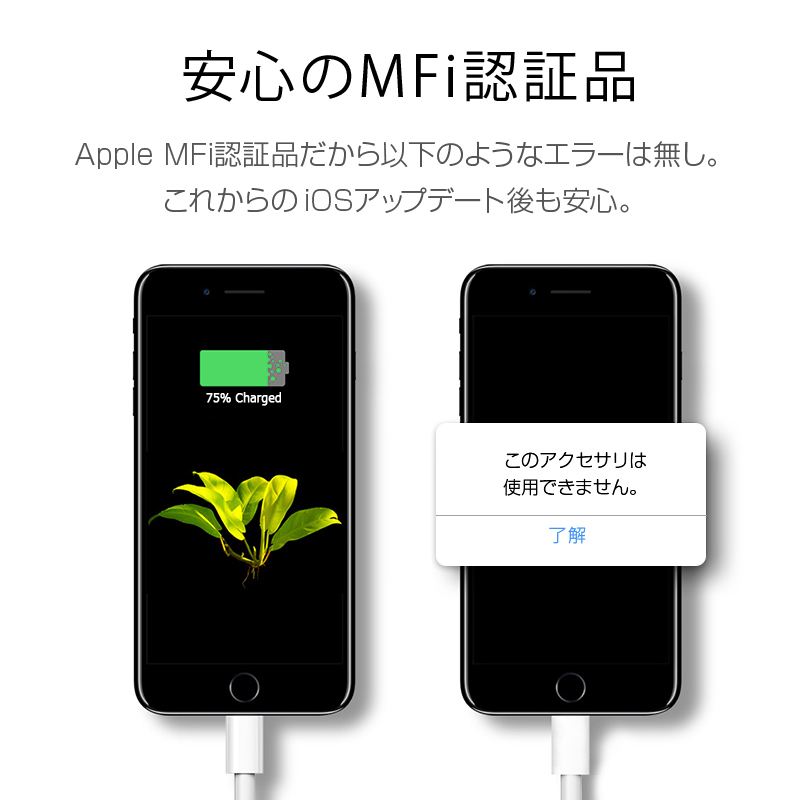 2 piece set iPhone iPad iPod correspondence IOS correspondence charge cable USB-C Type-C to Lighting cable MFI certification Apple certification length 1M lightning cable 