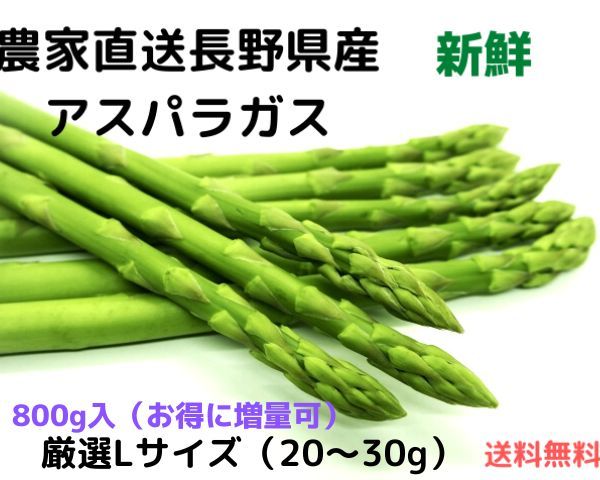  Nagano prefecture production asparagus finest quality L size 800g