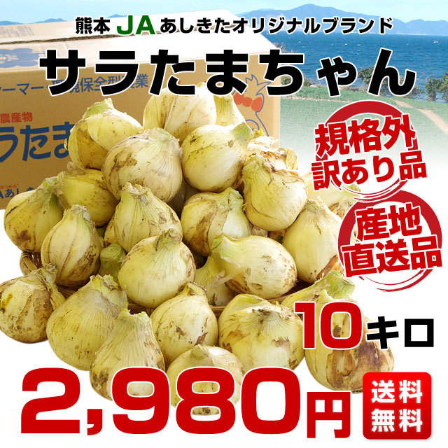  Kumamoto prefecture .. direct delivery from producing area JA.... Sara Tama Chan non-standard ( goods with special circumstances ) approximately 10 kilo free shipping onion tama welsh onion Sara sphere .. Tama ..tama