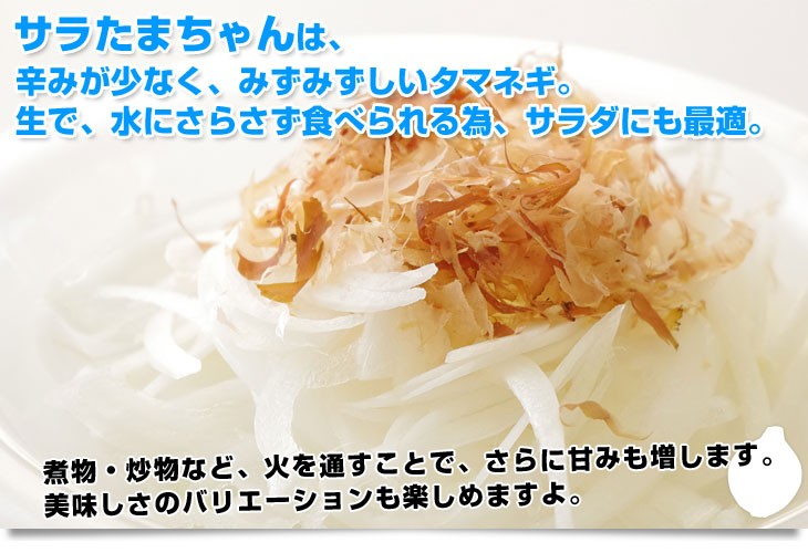  Kumamoto prefecture .. direct delivery from producing area JA.... Sara Tama Chan non-standard ( goods with special circumstances ) approximately 10 kilo free shipping onion tama welsh onion Sara sphere .. Tama ..tama
