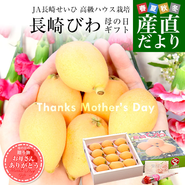  Mother's Day gift Nagasaki prefecture .. direct delivery from producing area JA Nagasaki ... high class house cultivation Nagasaki loquat 500g vanity case 3L from L size (8 sphere from 12 sphere ) free shipping Mother's Day loquat Nagasaki biwa. tree loquat 