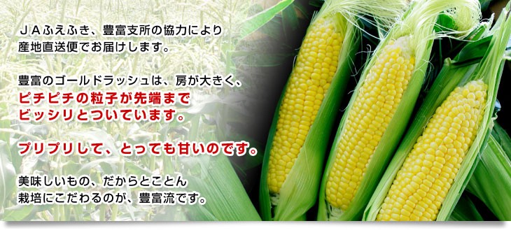  Yamanashi prefecture .. direct delivery from producing area JA.... abundance main place corn ( Gold Rush ) 2L size approximately 2.5 kilo (6 pcs insertion .) free shipping * cool flight 